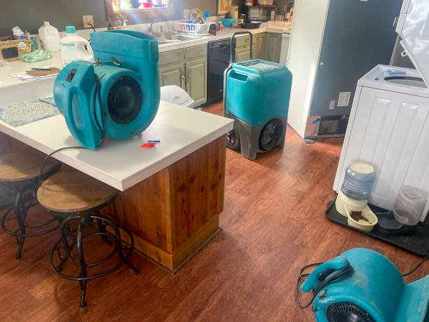  Rainbow Lakes, NJ Water damage restoration Pros