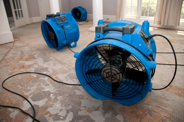 Best 24/7 water damage repair  in Rainbow Lakes, NJ